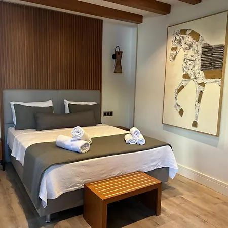 Otel Edra House *